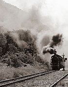 Steam train83